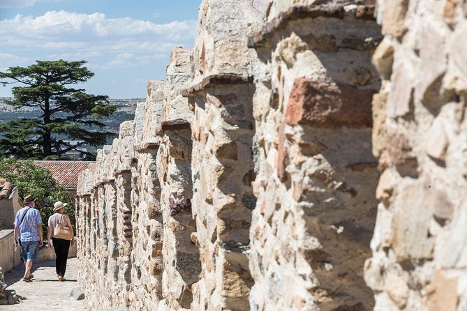 Avila with Walls and Segovia with Alcazar from Madrid - Segovia Cathedral area and lunch: choose your appetite