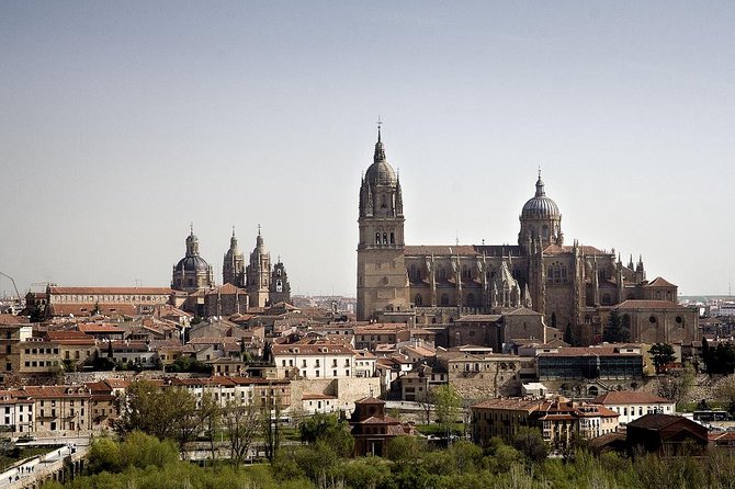 Best Private Full day Tour to Salamanca from Madrid hotel - Free Time in Salamanca: How to Use It Without Wasting It