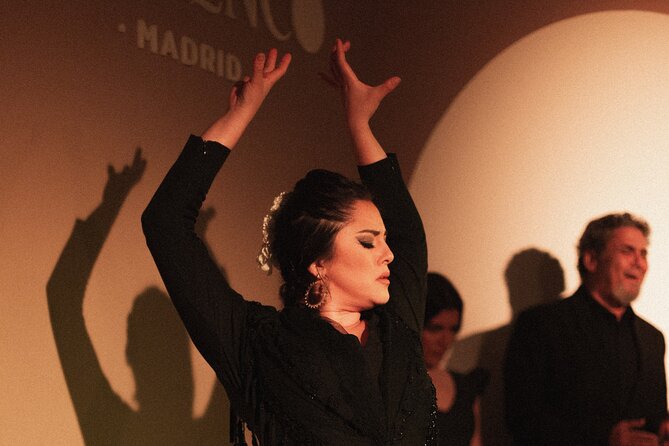 Centro Cultural Flamenco Madrid Admission Ticket - No amplification changes the sound, and it can be a little intense