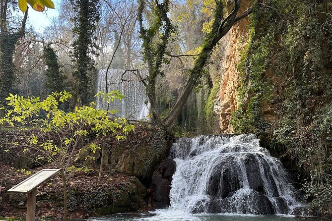 Explore the Stone Monastery and discover Sigüenza from Madrid - Who should book this trip, and who might want a different plan