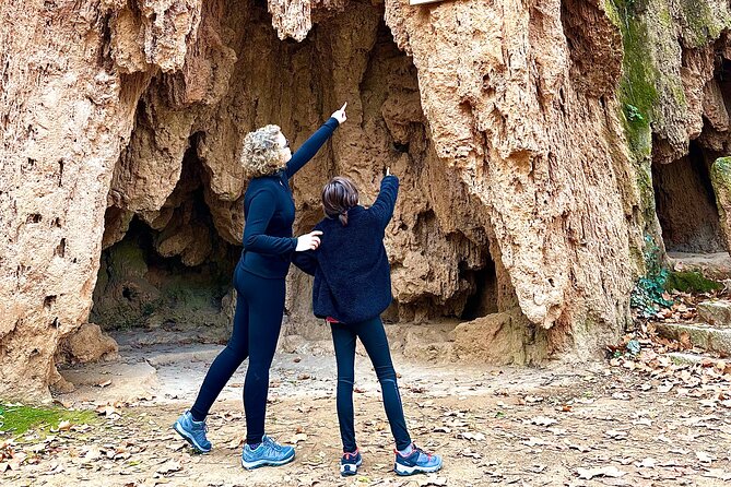 Explore the Stone Monastery and the Kingdom of Aragon from Madrid - Guides can make or break it, and this day leans on that strength