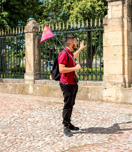 From Madrid: Ávila and Segovia Guided Day Trip - The Roman Aqueduct: How to Make This Stop Matter