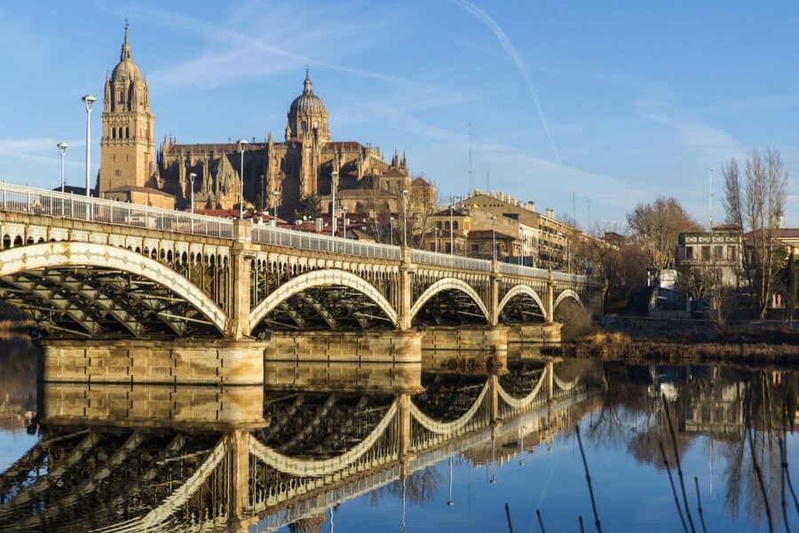 From Madrid: Day Trip to Ávila and Salamanca w/ Guided Tour - What kind of traveler should book this