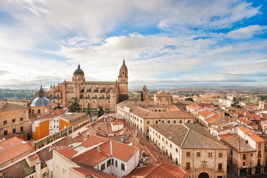 From Madrid: Day Trip to Ávila and Salamanca w/ Guided Tour - Pacing and comfort: how to plan your day on narrow streets