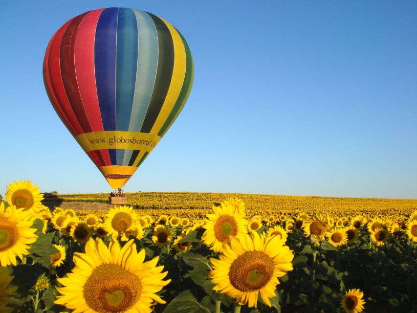 From Madrid: Hot Air Balloon Ride in Segovia with Pickup - Price and value: what you’re paying for at $288 per person