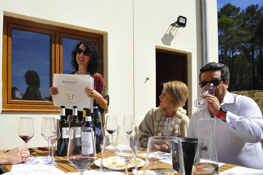 From Madrid: Ribera del Duero Tour of 3 Wineries w/ Tastings - Stop 3 in Ribera del Duero: 7 km of medieval underground caves