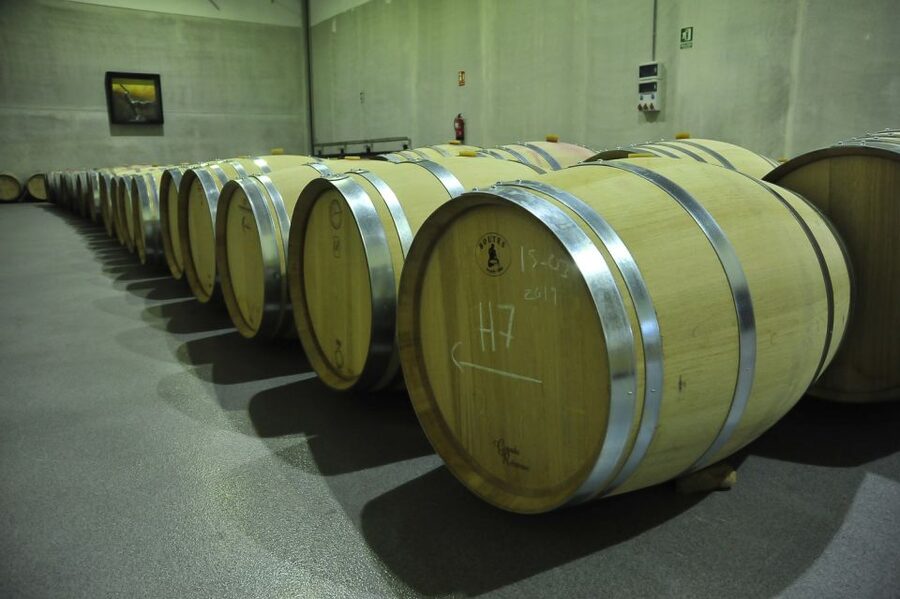 From Madrid: Ribera del Duero Tour of 3 Wineries w/ Tastings - Small-group pacing, plus your guide actually matters