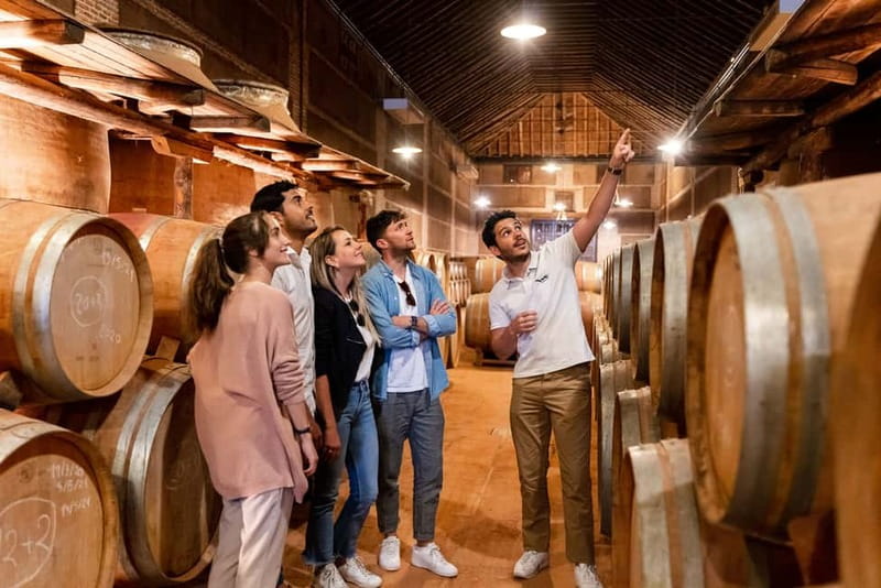 From Madrid: Toledo City Tour and Wine Tasting Experience - Riding out of Madrid: the bus leg and your first time buffer