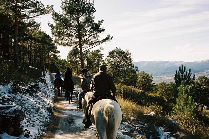 Horse Riding Madrid Natural Park - Horse Riding in the Sierra de Guadarrama, the Best Kind of Escape