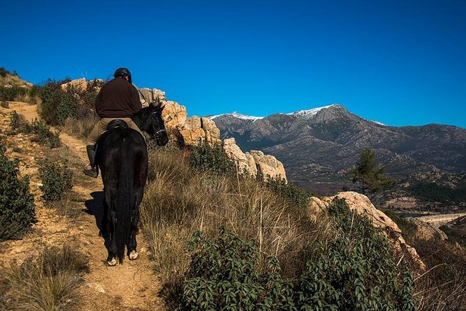Horse Riding Madrid Natural Park - The 2.5 Hour Plan: What the Trail Ride Actually Looks Like