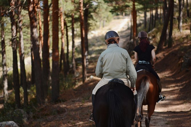 Horse Riding Madrid Natural Park - Safety and Rules That Keep It Fun (Not Frantic)
