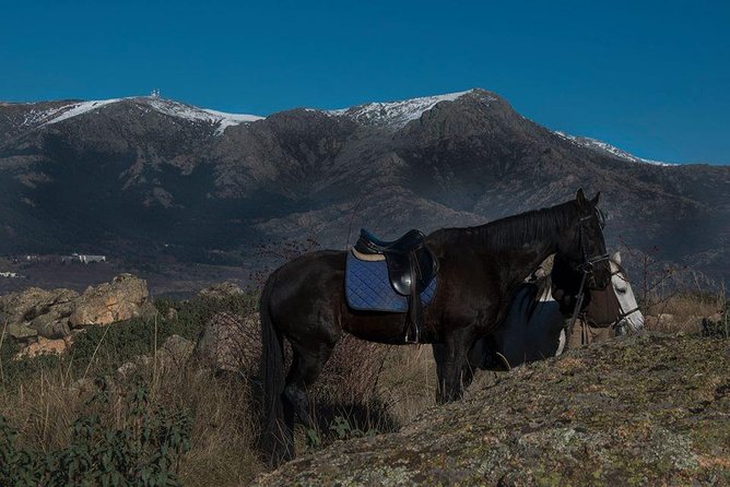 Horse Riding Madrid Natural Park - Price and Value: About $90 for a Short, Real Ride