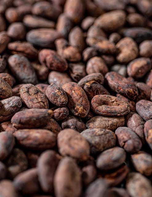 KAIACAO Bean to Bar and Design your own chocolate experience - The factory walk-through, sorting beans to roasting and winnowing