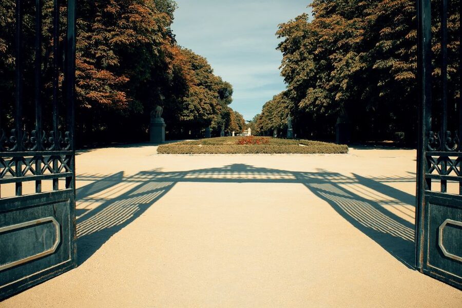 Madrid: 1.5-Hour Retiro Park Guided Walking Tour - The park’s green scale, why 19,000 trees change the experience