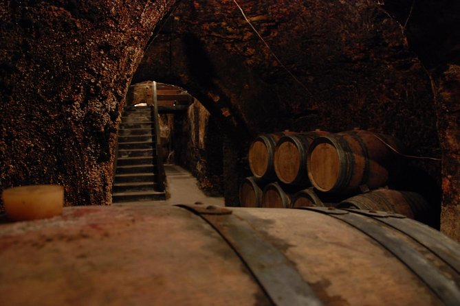 Madrid Countryside Wineries Guided Tour with Wine Tasting - The tasting lineup: tempranillo reds, malvar whites, and 10-plus glasses