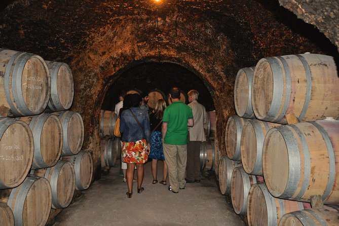 Madrid Countryside Wineries Guided Tour with Wine Tasting - Snacks and lunch style pairings: Iberian ham, local cheeses, hot dishes