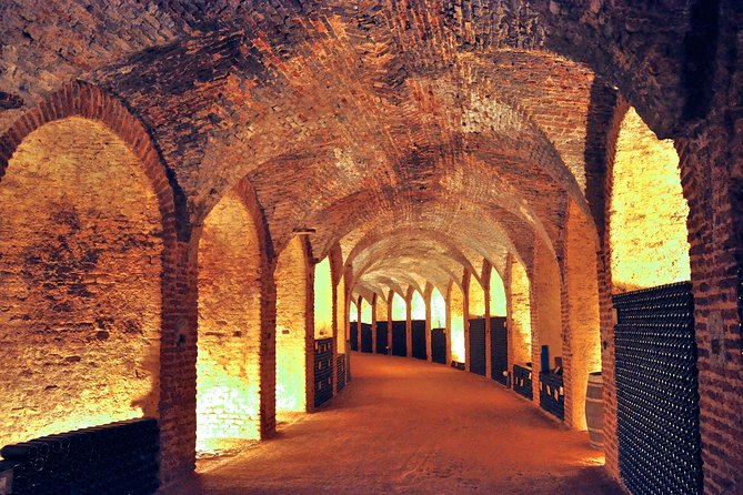 Madrid Countryside Wineries Guided Tour with Wine Tasting - Stop 1 at Señorio de Val Azul: boutique winery, organic vineyard setting
