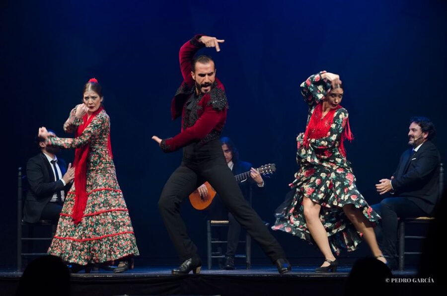 Madrid: "Emociones" Live Flamenco Performance - The Intimacy Factor: Why This Format Works