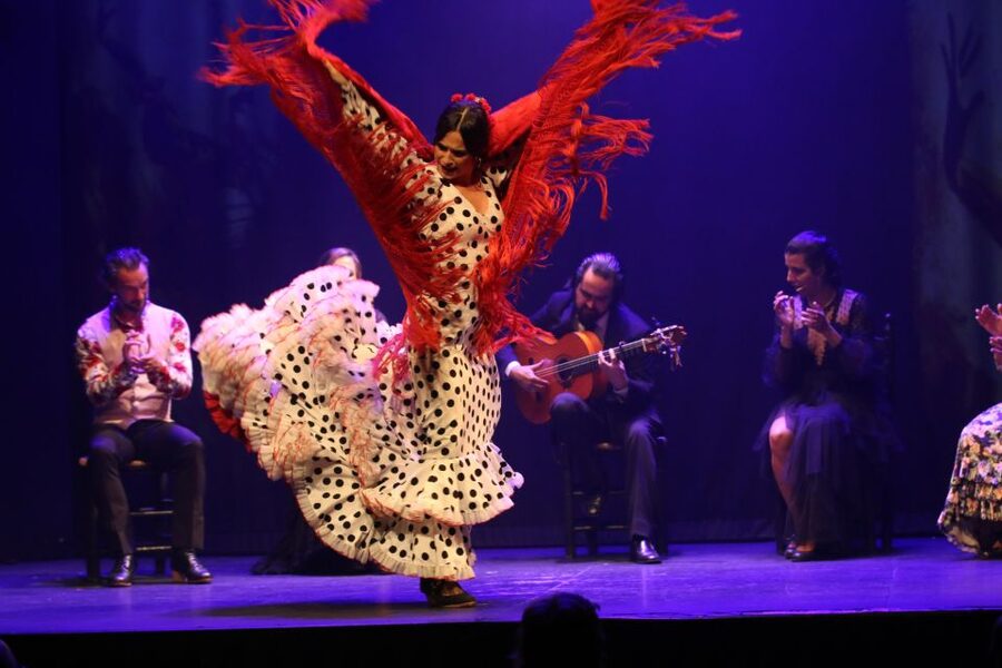 Madrid: "Emociones" Live Flamenco Performance - Language and Following the Show Without Spanish