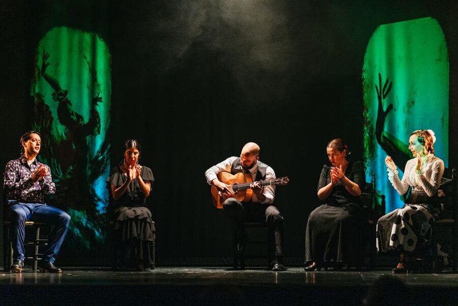 Madrid: "Emociones" Live Flamenco Performance - Getting There and Making It a Madrid Evening Plan