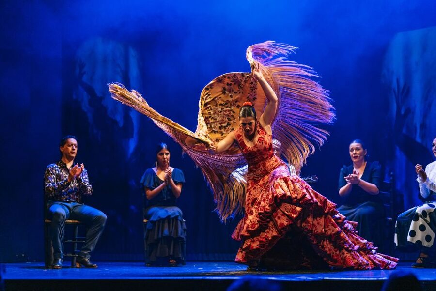 Madrid: "Emociones" Live Flamenco Performance - Who This Flamenco Ticket Is Best For
