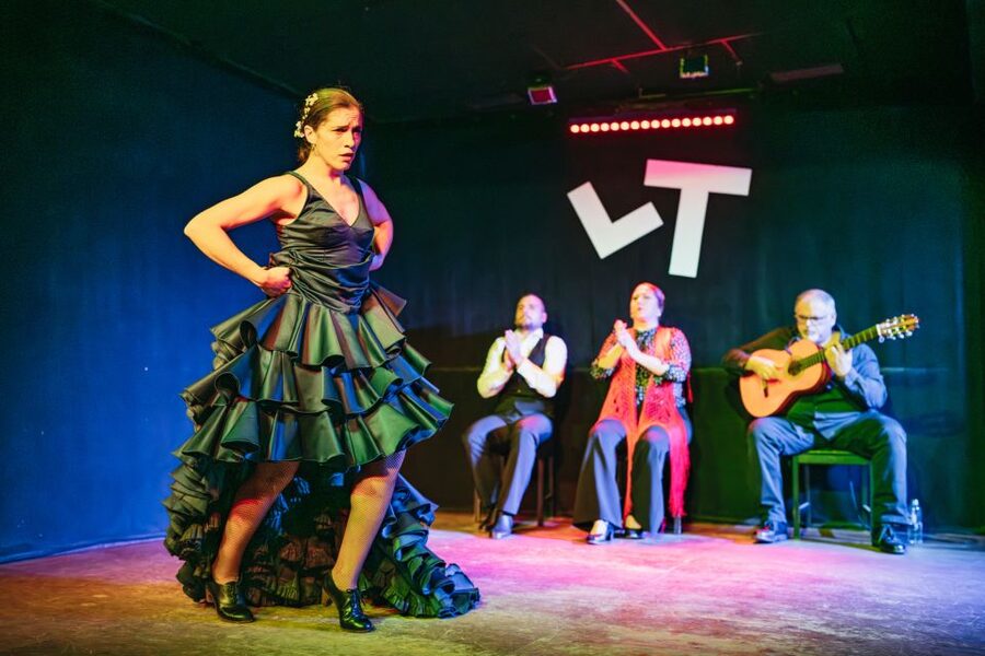 Madrid: Flamenco Show at Tablao "Las Tablas" with Drink - Audience etiquette: how to help the show work at its best