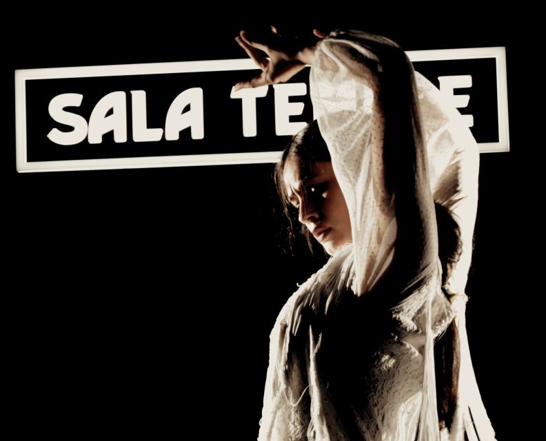 Madrid: Flamenco Show at Tablao Sala Temple with Drink - A note on the people behind the night