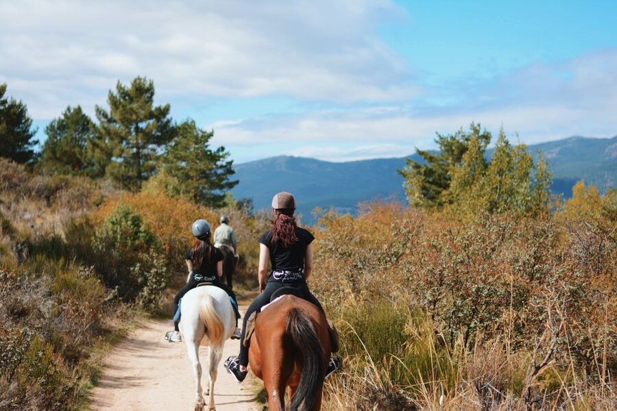 Madrid: Horse Riding in Sierra del Guadarrama National Park - The 2-hour ride: what the mountains feel like on horseback