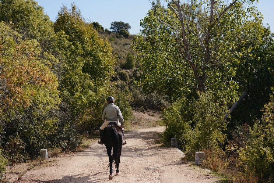 Madrid: Horse Riding in Sierra del Guadarrama National Park - Price and value: what $88 really buys you