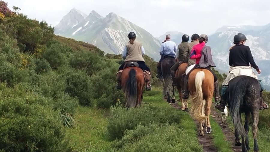 Madrid: Horse Riding in Sierra del Guadarrama National Park - Getting there: meeting point and the short SUV ride