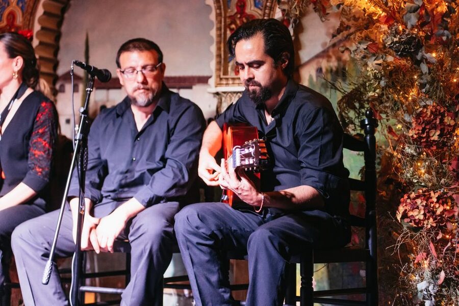 Madrid: Live Flamenco Show with Food and Drinks Options - Who this is best for, and who might want to rethink it