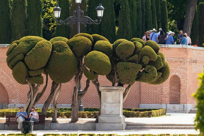 Madrid Prado Museum & City PRIVATE TOUR with Ticket Included - Value check: is $112 a smart deal for Prado tickets plus a guide?