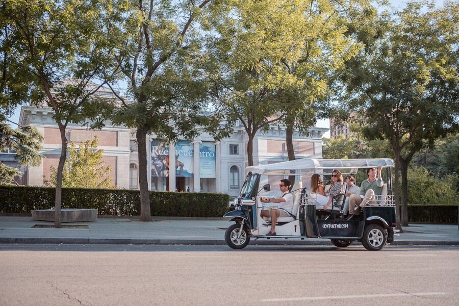 Madrid: Private City Tour by Eco Tuk Tuk - Price and Value: Private Tour for a Group, Not per Person