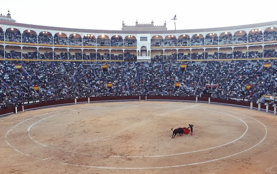 Madrid: Private Customized Walking Tour with a Local Host - Price value at $55 per person: what you’re really paying for