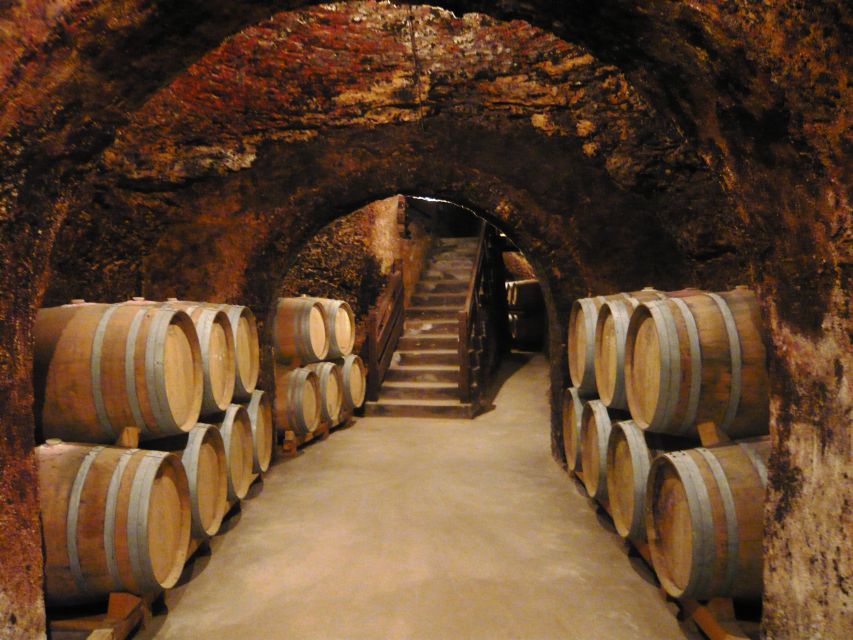 Madrid Region Wineries Guided Tour with Wine Tastings - Key things I’d plan around