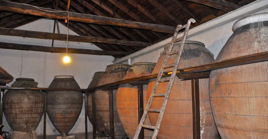 Madrid Region Wineries Guided Tour with Wine Tastings - Colmenar de Oreja winery visit: vineyards, Tempranillo roots, and comparison tasting