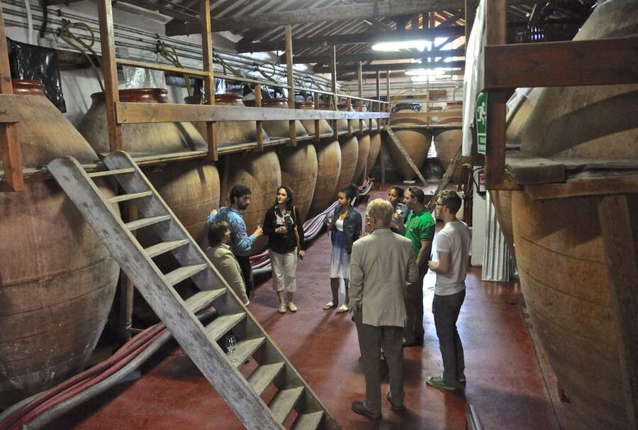 Madrid Region Wineries Guided Tour with Wine Tastings - Price value check: is $171 a fair deal?