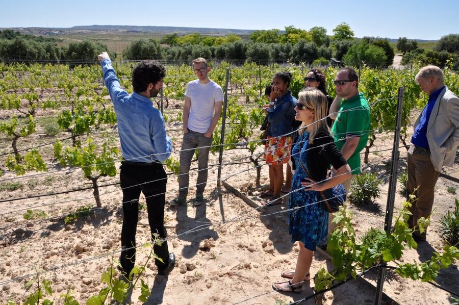 Madrid Region Wineries Guided Tour with Wine Tastings - Chinchón stop: medieval streets, winery pacing, and snack pairings