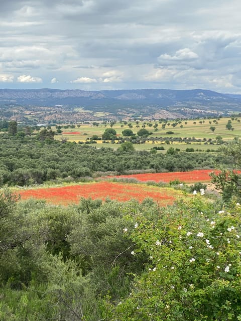 Madrid: Unspoiled Spain for Foodies & Nature ❤️’s - Value for $294: what you’re really paying for