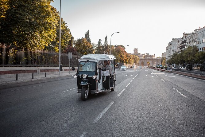Madrid Welcome Tour with Local Guide in Eco Tuk Tuk Private - Basilica of San Francisco the Great: big dome energy