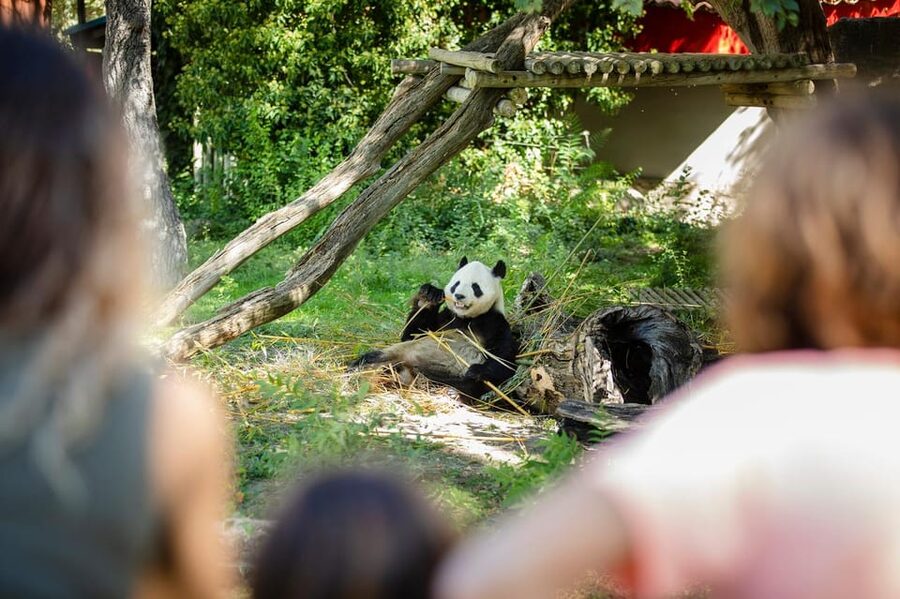 Madrid: Zoo Aquarium Madrid Ticket - Zoo Aquarium Madrid in Casa de Campo: what this ticket really includes