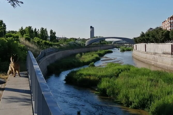 Manzanares River’s Story: A Self-Guided Audio Tour in Madrid - Matadero Madrid: the former slaughterhouse that gives the river story a human start