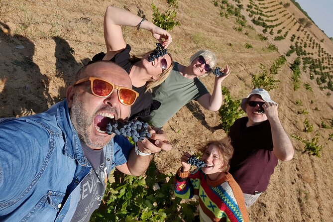 Ribera del Duero:4 Wineries, tasting & Lunch included from Madrid - Key Highlights That Make This Tour Click