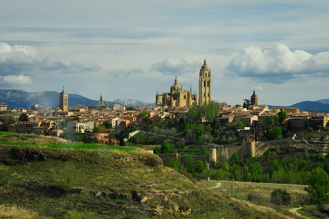 Ribera del Duero Wineries Guided Tour & Wine Tasting from Madrid - Price and logistics: what you are really paying for