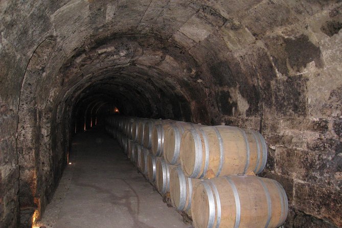 Ribera del Duero Wineries Guided Tour & Wine Tasting from Madrid - Stop 1 in Ribera del Duero: first tastings and first impressions