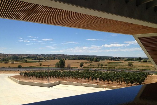 Ribera del Duero Wineries Guided Tour & Wine Tasting from Madrid - Ribera del Duero scenic time and the return to Madrid