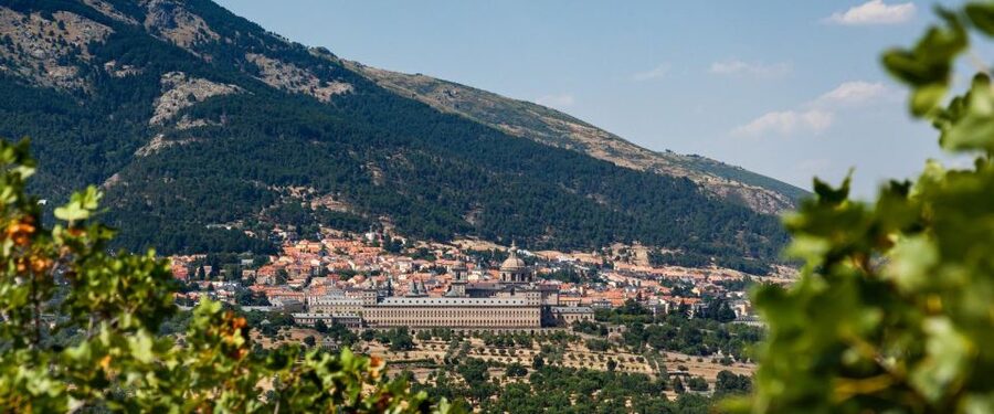 Royal Site of San Lorenzo de El Escorial Entrance Ticket - Price and value: is $21 worth it?