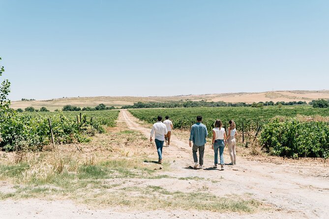 Spanish Villages & Winery Visit with Wine Tasting and Tapas Lunch - Price and value: why $209.31 can be a good deal for this format