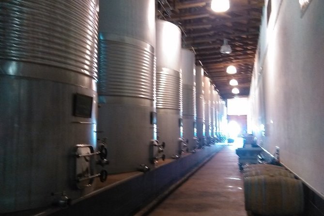 Toledo, Windmills, Winery Small Group Tour with Lunch from Madrid - The winery stop at Bodegas Peral: wine tasting plus real lunch